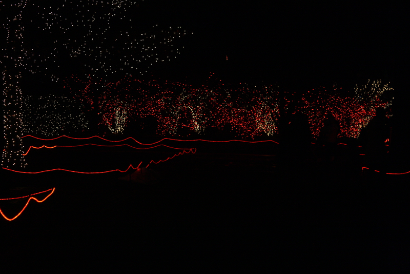 Illustration for article titled Lights Before Christmas